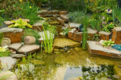 custom-back-yard-pond