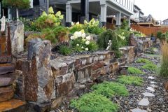 hosta-in-moyie-wall-scaled